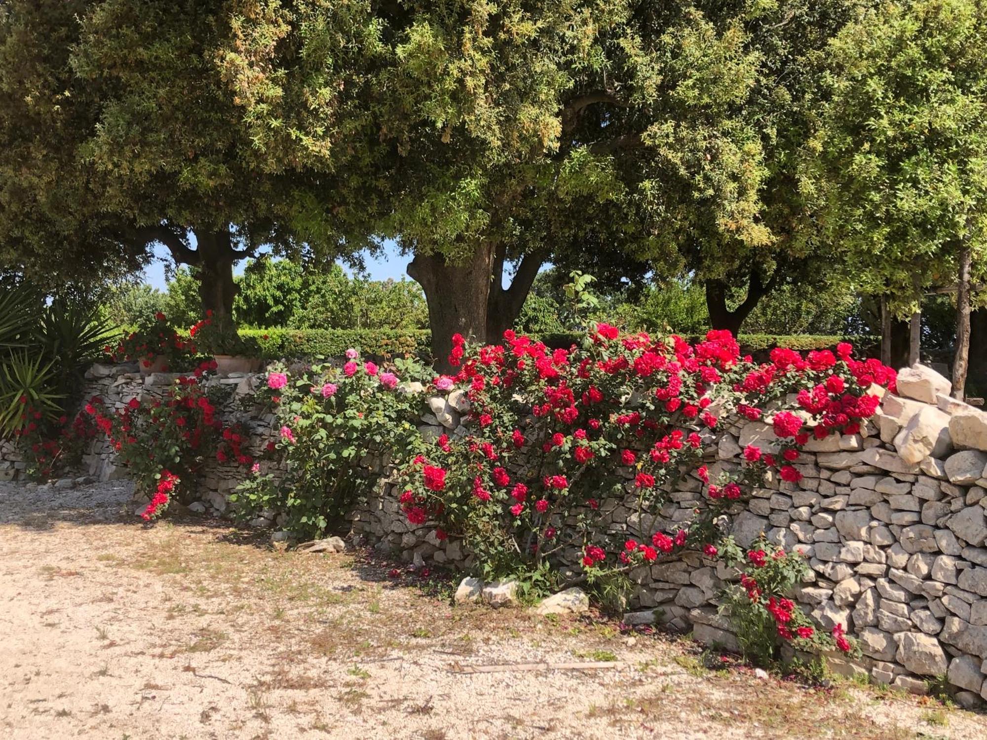 Villa Ai Pilieri Di Bagnoli à Castel Del Monte  Extérieur photo