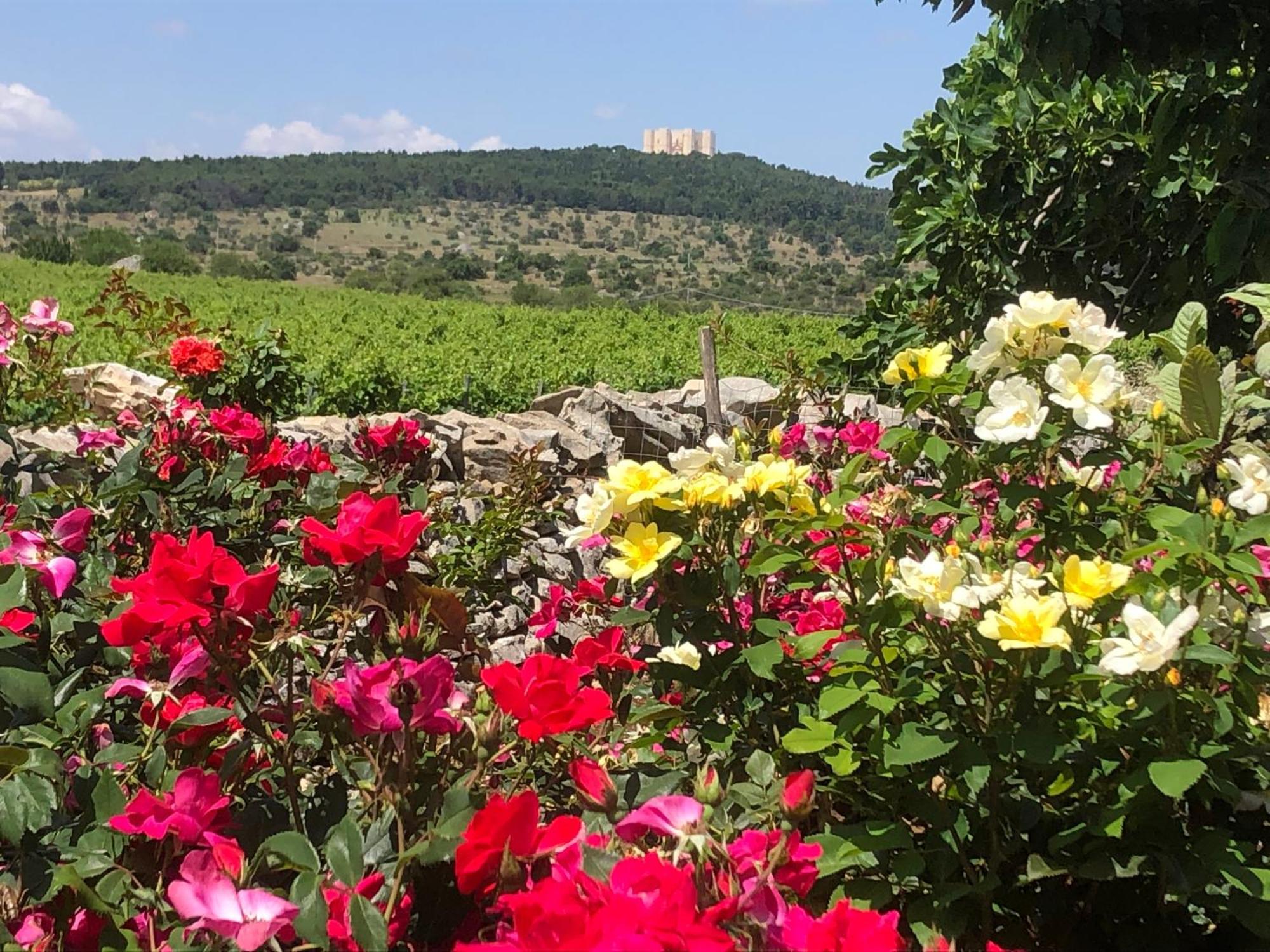 Villa Ai Pilieri Di Bagnoli à Castel Del Monte  Extérieur photo