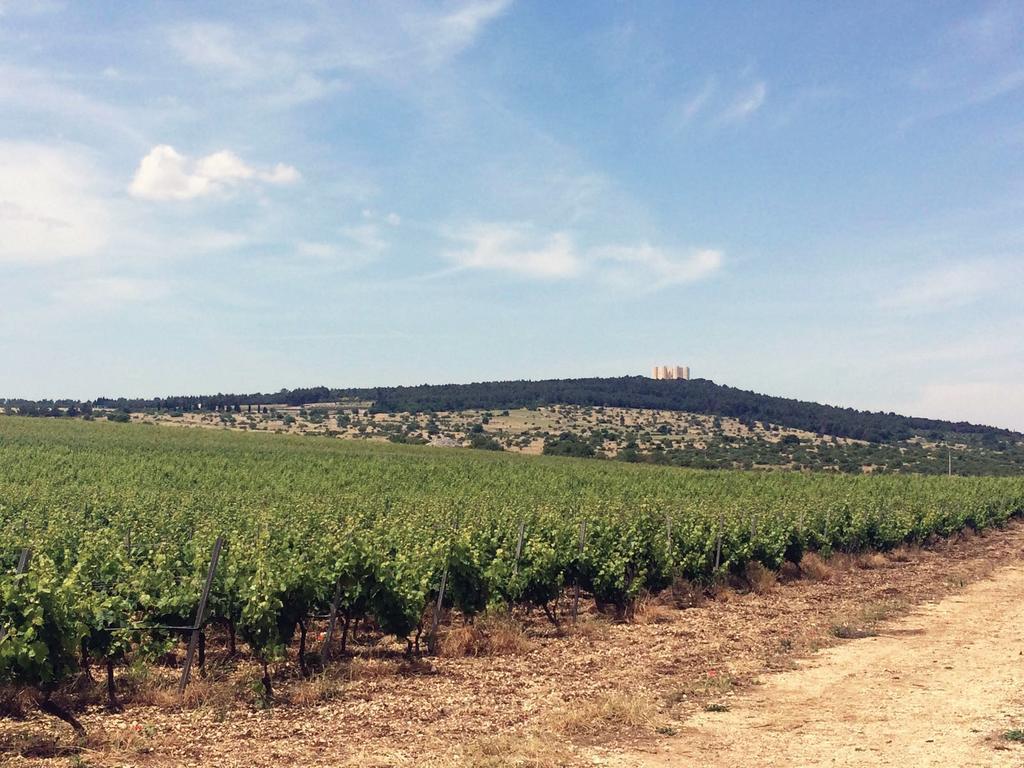 Villa Ai Pilieri Di Bagnoli à Castel Del Monte  Extérieur photo